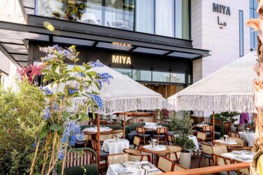 Latest Ladies Nights